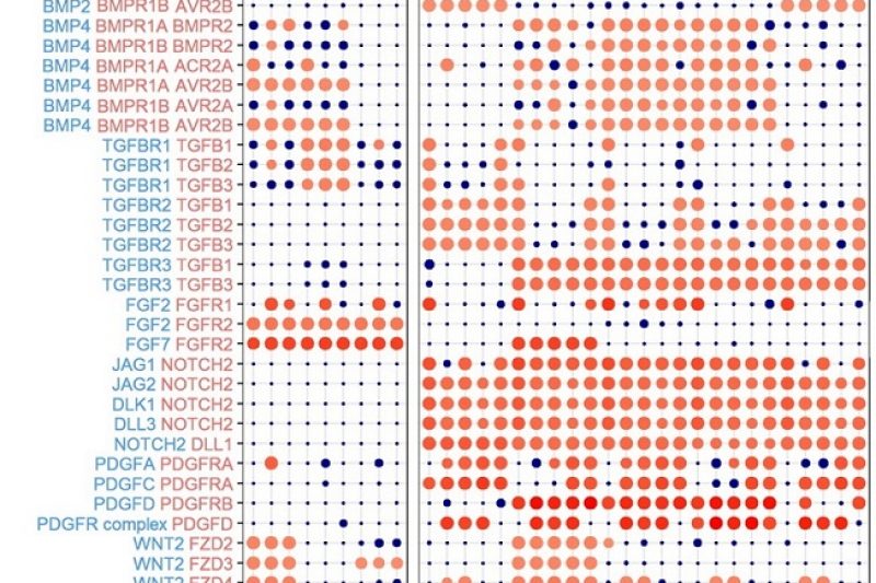 system_biology_3